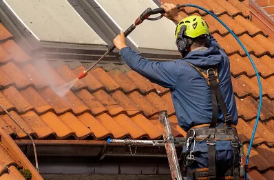 Démoussage et hydrofuge de toiture à Bourideys
